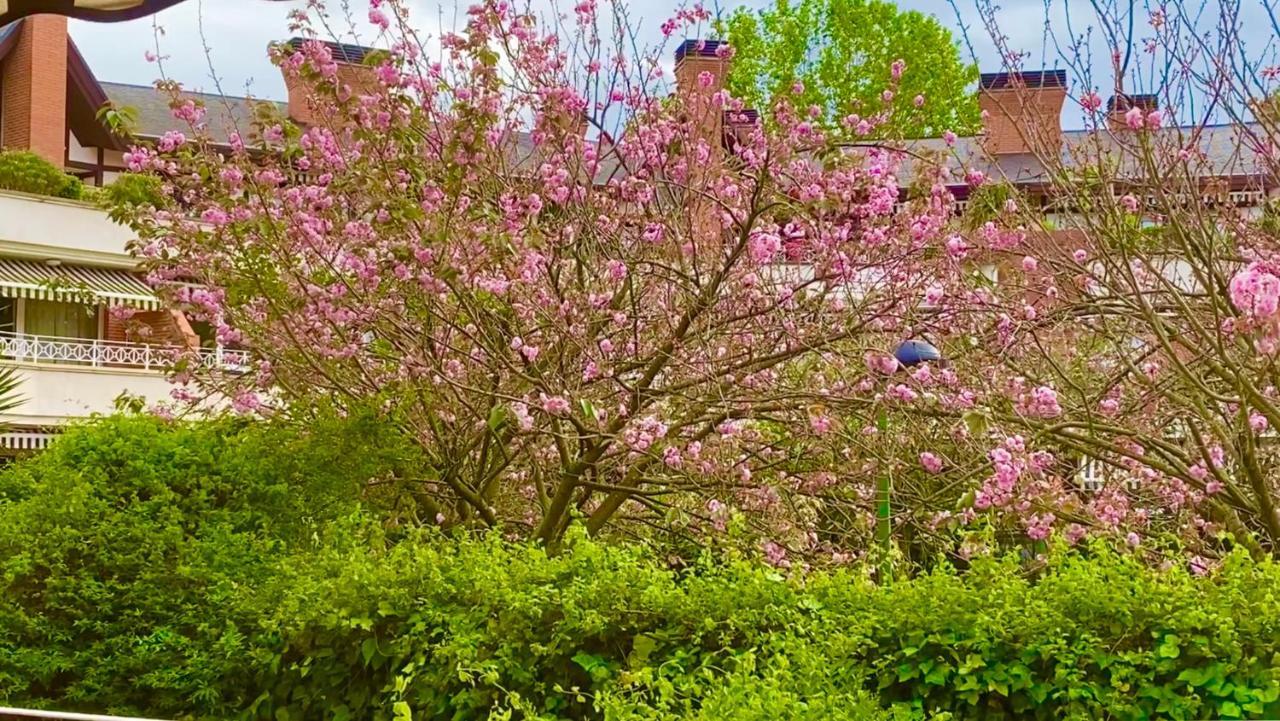 Apartamento Con Jardin Getxo Exterior foto